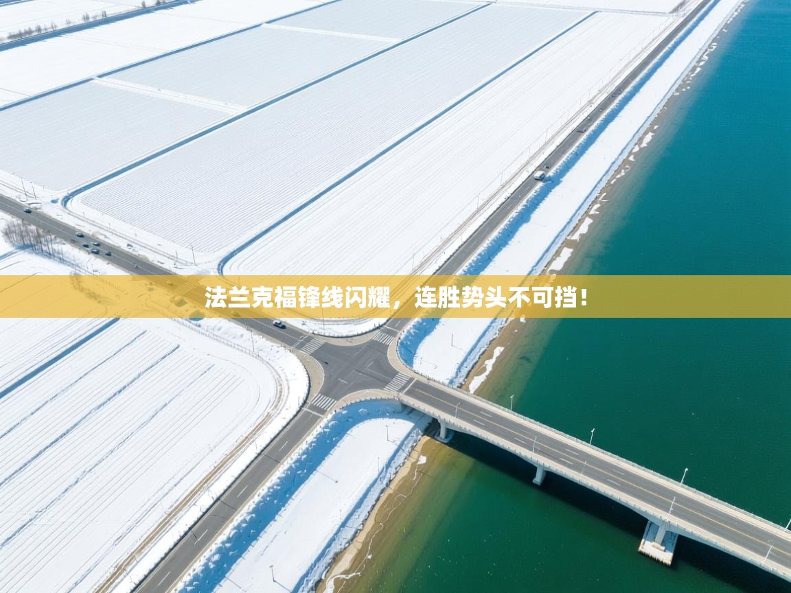 法兰克福锋线闪耀,连胜势头不可挡! 第2张